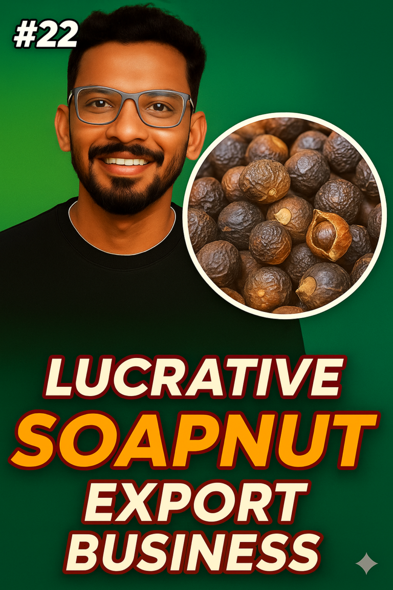 Soapnut export and value-added products business in India