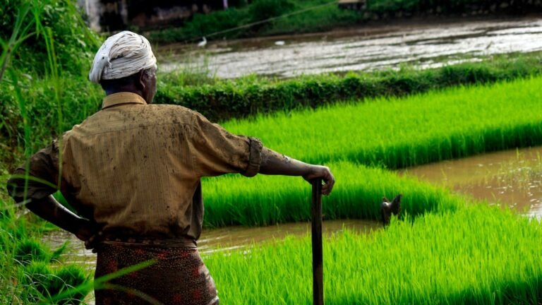 Farmer working in a field for an agriculture business