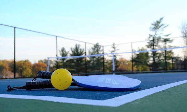 Pickleball turf business in India