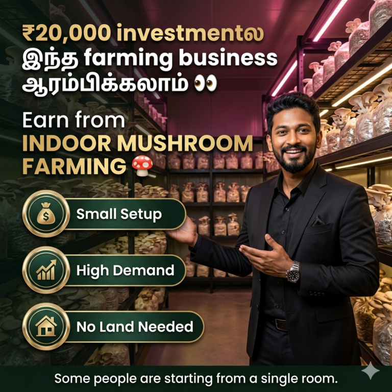 Indoor mushroom farming business in India