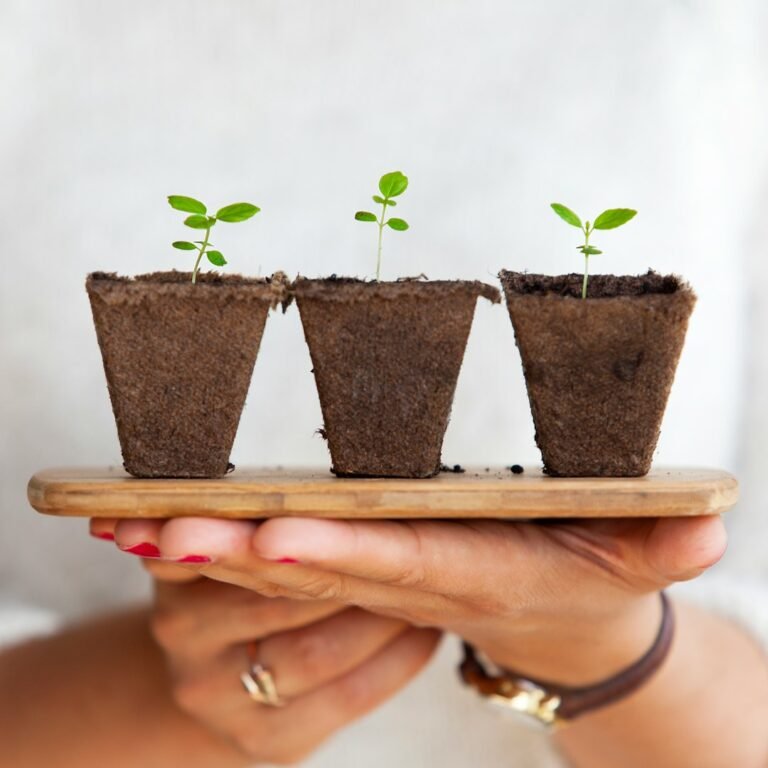 Seed Tape Farming in India: Method, Benefits & Reality